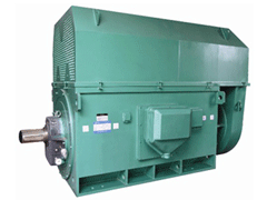 湖口Y系列6KV高压电机